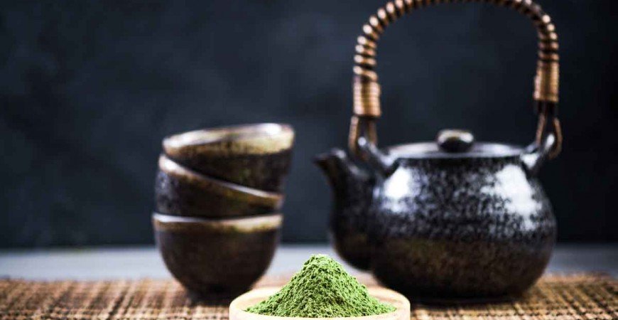 Cuál es el mejor té matcha y dónde comprarlo