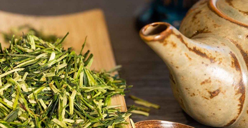 Té Kukicha - Beneficios y Propiedades