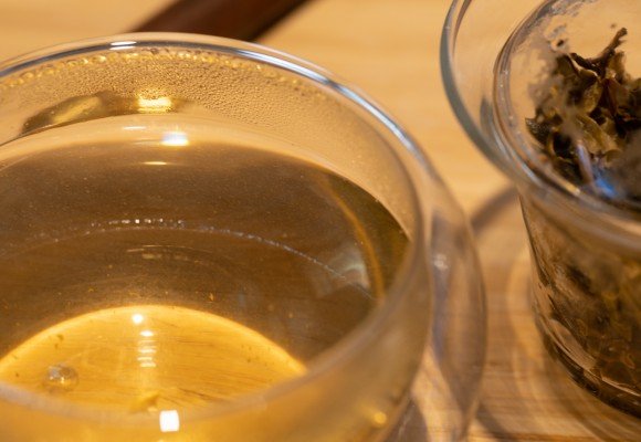 El té Puerh - Parte II.  La evolución del Té